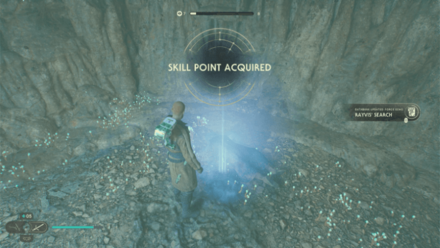 Fallen Order - Rayvis