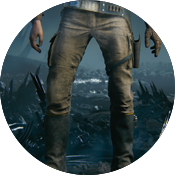 Jedi Survivor - Survivor Cosmetics