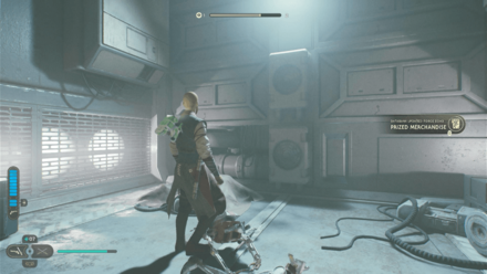 Fallen Order - Pizza Merchandise In Game Image