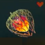 Legend of Zelda TOTK Fire Fruit