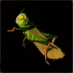 Legend of Zelda TOTK Restless Cricket