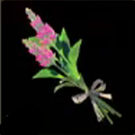 Legend of Zelda TOTK Warm Safflina