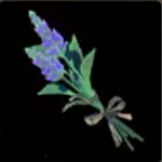 Legend of Zelda TOTK Cool Safflina