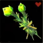 Legend of Zelda TOTK Hyrule Herb