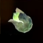 Legend of Zelda TOTK Brightbloom Seed