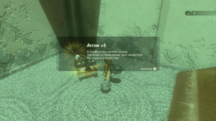 Zelda TotK - In-isa Shrine Treasure Chest 1 Contents