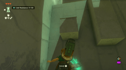 Zelda TotK - Gutanbac Shrine Walkthrough Step 2