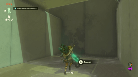 Zelda TotK - Gutanbac Shrine Walkthrough Step 9