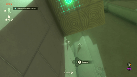 Zelda TotK - Gutanbac Shrine Walkthrough Step 10