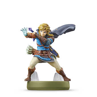 Link (Tears of the Kingdom) Icon