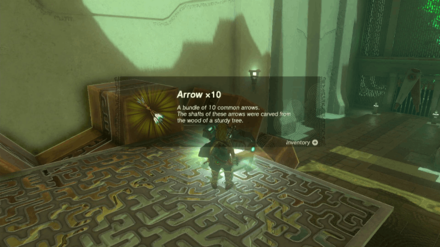 Zelda Totk - Nachoyah Shrine Treasure Chest 1 Content