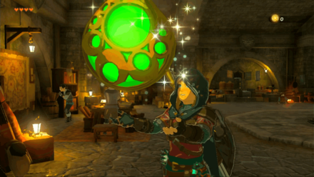 TotK - Stamina Vessel