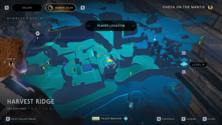 Fallen Order - Palm Fruit Shell Map Image