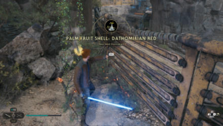 Fallen Order - Palm Fruit Shell In Game Image