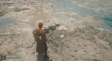 Fallen Order - Last Stand In Game Image