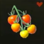 Legend of Zelda TOTK Hylian Tomato