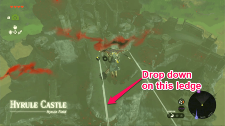 Zelda TotK - How to Get Champion