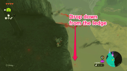 Zelda TotK - How to Get Hylian Shield Step 4