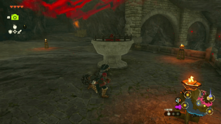 Zelda TotK - How to Get Hylian Shield Step 7