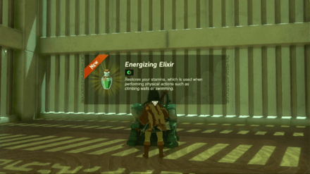 Zelda TotK - Mayachin Shrine Treasure Chest 1 Content