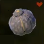 Legend of Zelda TOTK Hearty Truffle