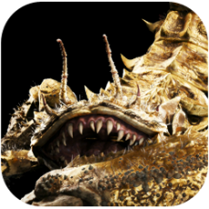 Star Wars Jedi Survivor - Golden Skriton