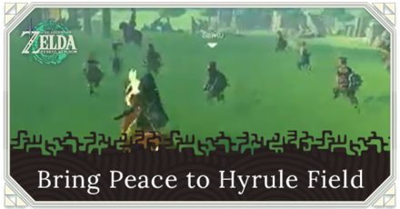 Zelda Tears of the Kingdom TOTK - Bring Peace to Hyrule Field Top Banner.png