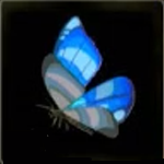 Legend of Zelda TOTK Winterwing Butterfly