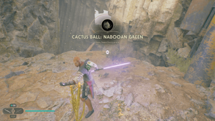 Fallen Order - Cactus Ball In Game Image