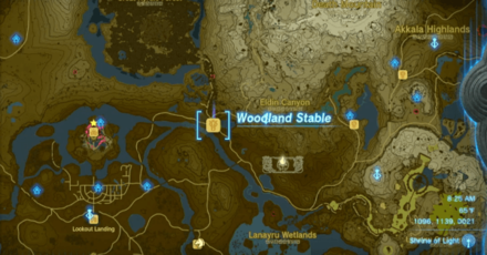 Tears of the Kingdom TOTK - Woodland Stable