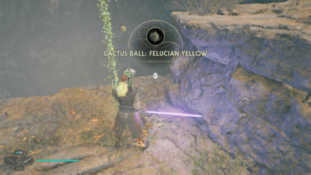 Fallen Order - Cactus Ball In Game Image