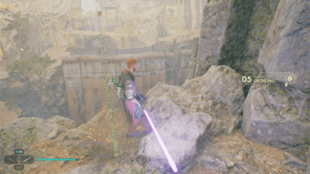 Fallen Order - Cactus Ball In Game Image