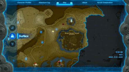 TotK - Great Hyrule Forest