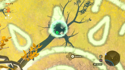 Zelda TotK - Purah Pad Dragon