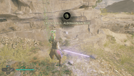 Fallen Order - Cactus Ball In Game Image