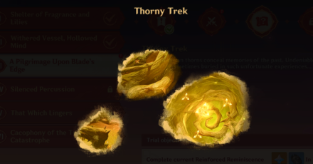 Genshin Impact A Pilgrimage Upon Blade