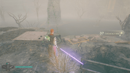 Fallen Order - Crimson Jelly Spire In Game Image