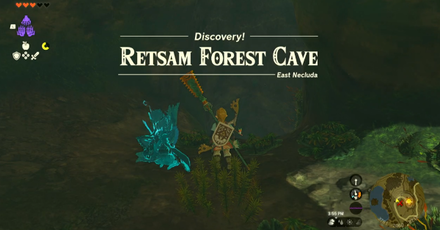 Retsam Forest Cave Entrance Overworld Image