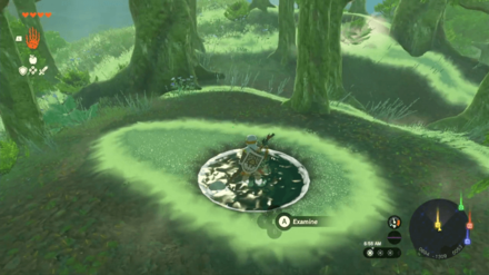 Zelda TotK - Molduga Dragon