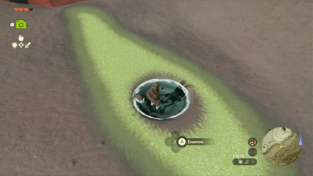 Zelda TotK - Kneeling Man Dragon