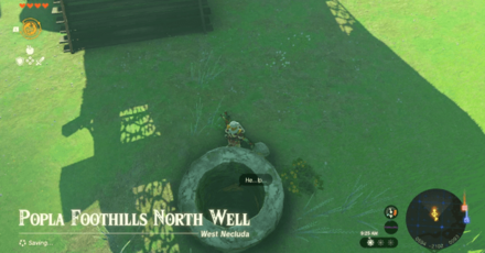 Popla Foothills North Well Entrance Overworld Image