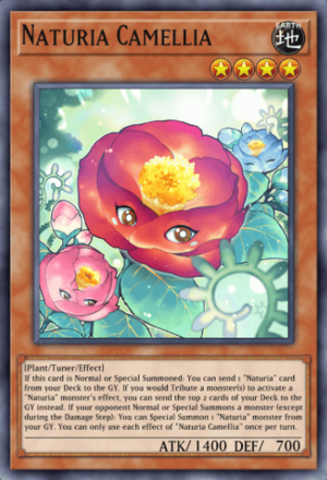 Naturia Camellia