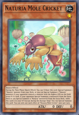Naturia Mole Cricket