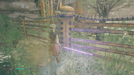 Fallen Order - Palm Fruit Shell In Game Image