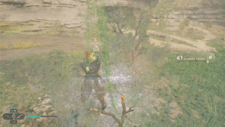 Fallen Order - Bluebell Squish In Game Image