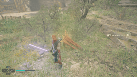 Fallen Order - Palm Fruit Shell In Game Image