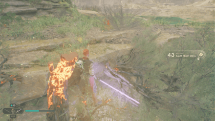 Fallen Order - Palm Fruit Shell In Game Image