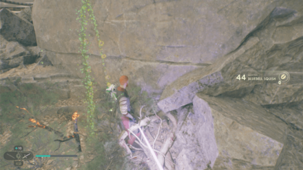 Fallen Order - Bluebell Squish In Game Image