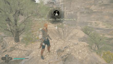 Fallen Order - Palm Fruit Shell In Game Image