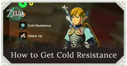 Zelda TOTK - How to Get Cold Resistance